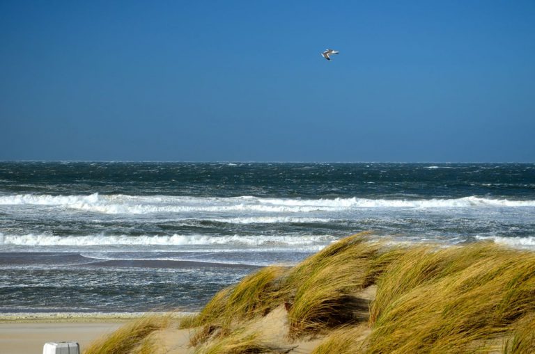 nordsee-duene-strand