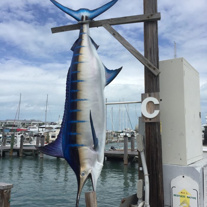 key-west-harbor-marlin-1