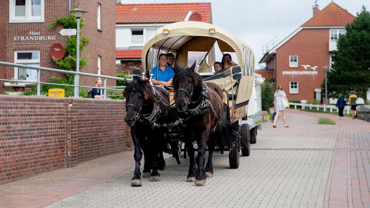 Pferdekutsche auf Baltrum. Foto: dpa